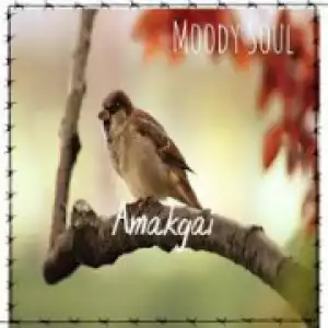 Moody Soul - Amakgai (Amapiano Edit)